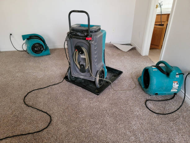 Best 24/7 water damage repair  in Lindsborg, KS