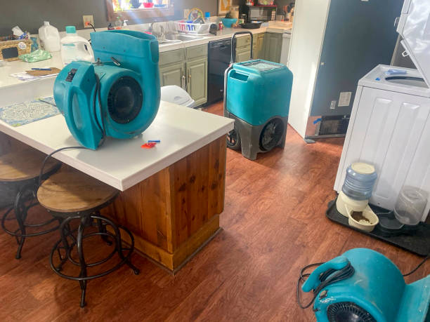 Best Carpet water damage restoration  in Lindsborg, KS