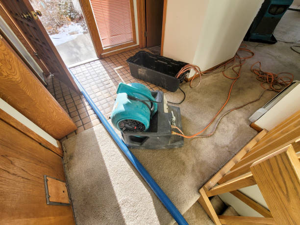 Best Water damage restoration specialists  in Lindsborg, KS