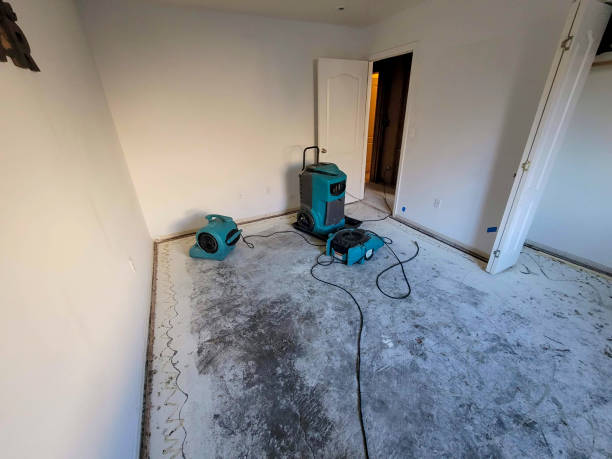 Best Water damage restoration mold remediation  in Lindsborg, KS