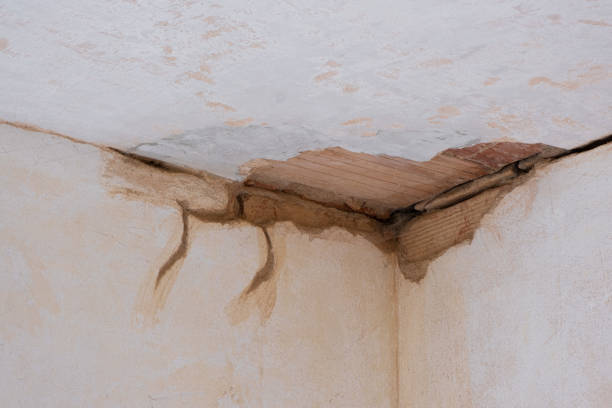Best Basement water damage restoration  in Lindsborg, KS