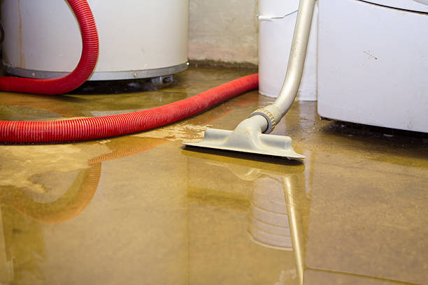 Water damage restoration mold remediation in Lindsborg, KS