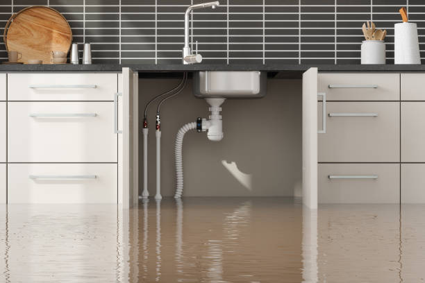 Best Water damage restoration near me  in Lindsborg, KS