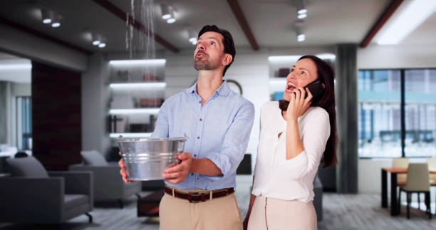 Best Professional water damage repair  in Lindsborg, KS