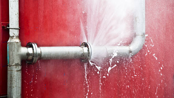 Best Professional water damage repair  in Lindsborg, KS